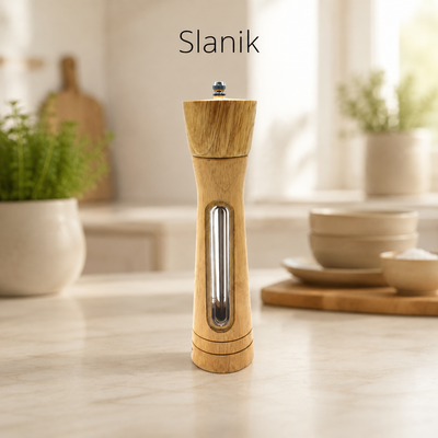 Slanik BS 17