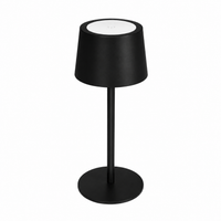 Punjive lampe