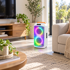 Prenosna zvučna kutija sa Bluetooth konekcijom 60W PAR216WH