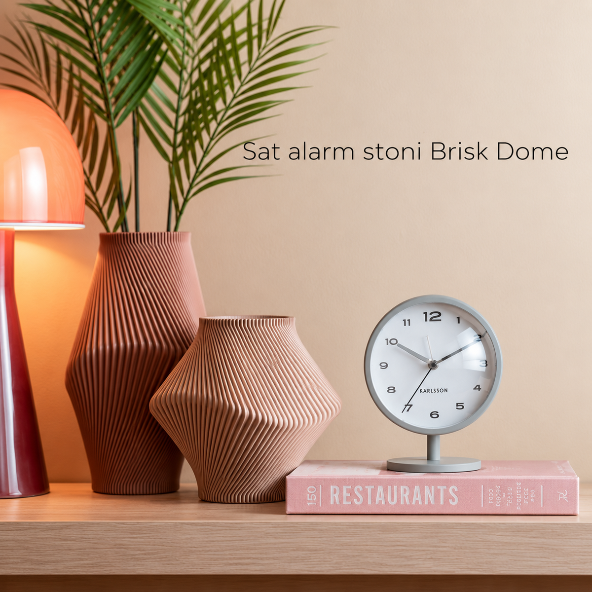 Sat alarm stoni Brisk Dome
