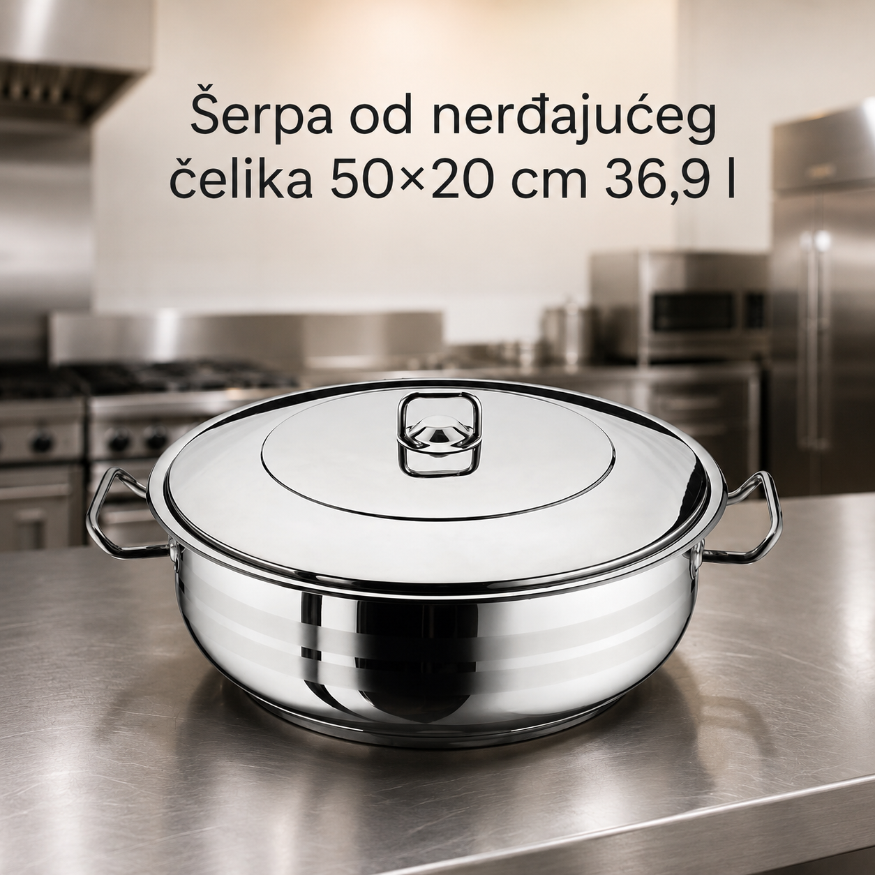 Šerpa od nerđajućeg čelika 50×20 cm 36,9l