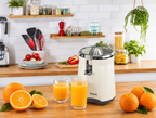 TEFAL CEDILJKA ZA CITRUSE ZP610A