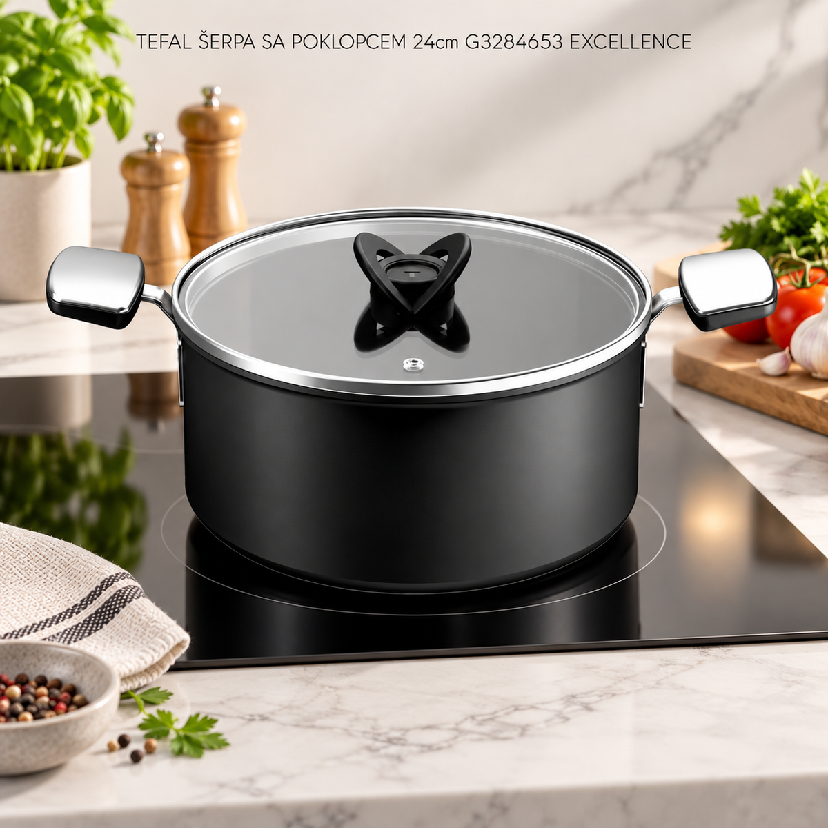 TEFAL ŠERPA SA POKLOPCEM 24cm G3284653 EXCELLENCE